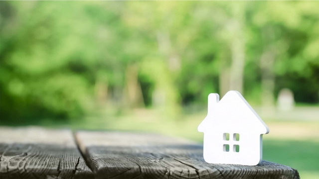 冬から春への室内環境改善術